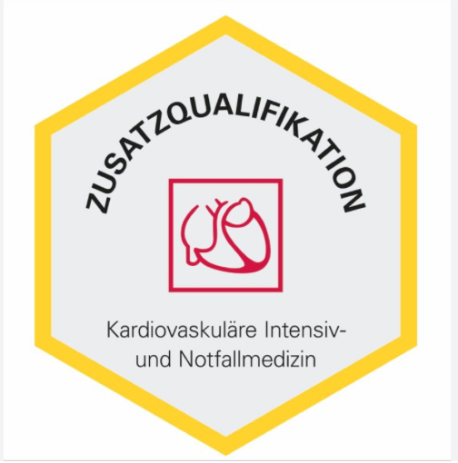 Cardiovascular Intensive and Emergency Medicine – Additional qualification